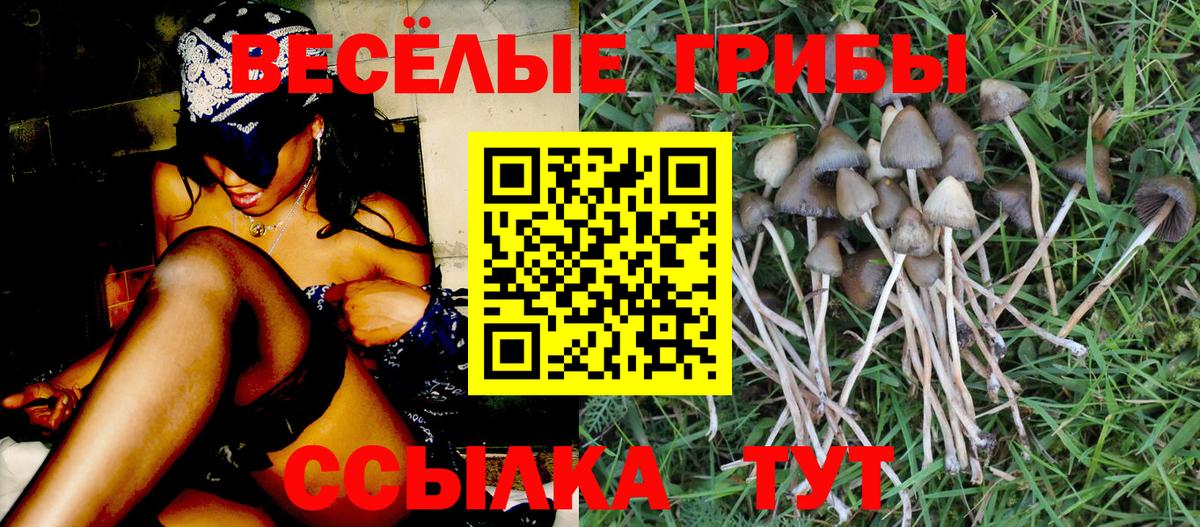 Куйбышев  Галлюциногенные грибы Magic Shrooms  Галлюциногенные грибы прущие грибы  Вход с VPN 