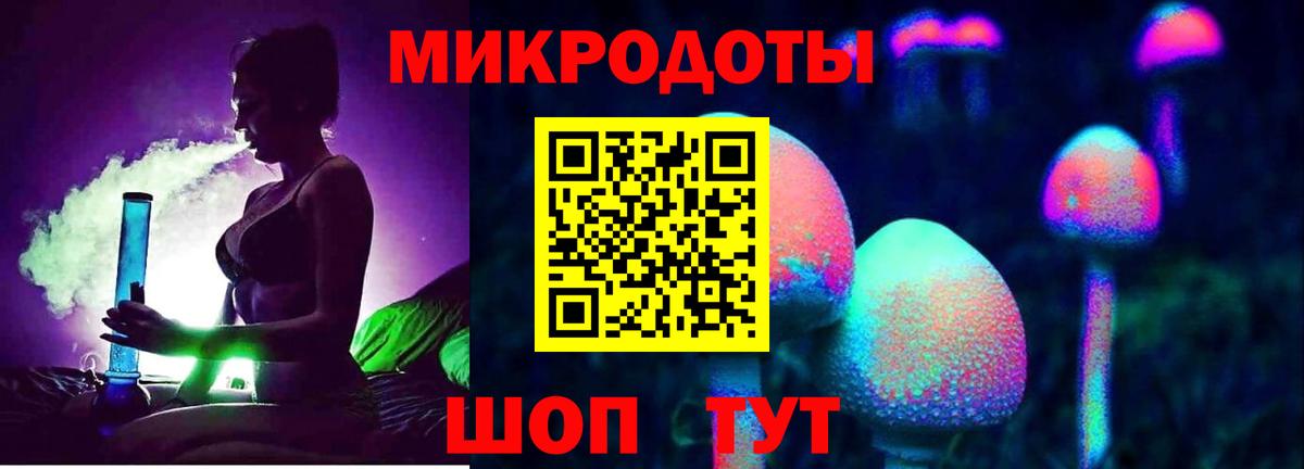 Псилоцибиновые грибы Psilocybine cubensis Куйбышев